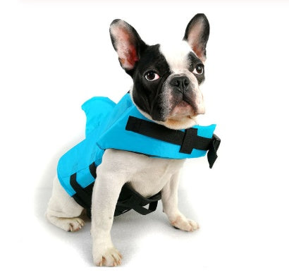 Dog swimming in shark fin life jacket