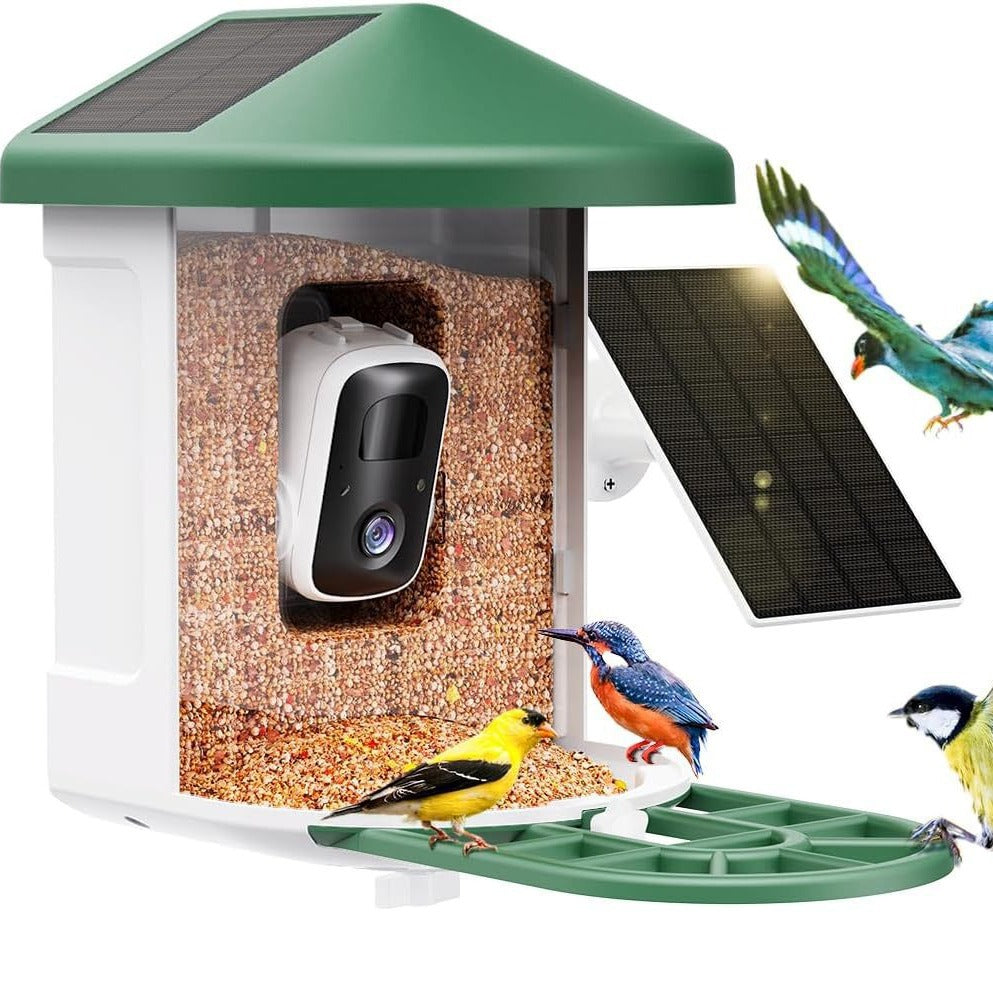 Smart bird feeder camera bird recognition feature
