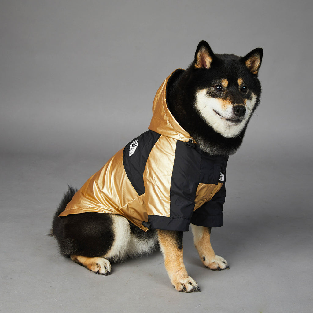 dog raincoat large waterproof jacket for outdoor walking and protection