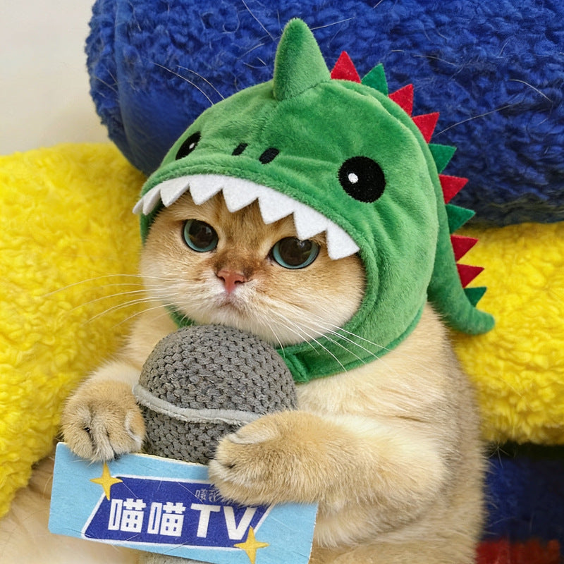 Cat wearing dinosaur hooded headgear costume