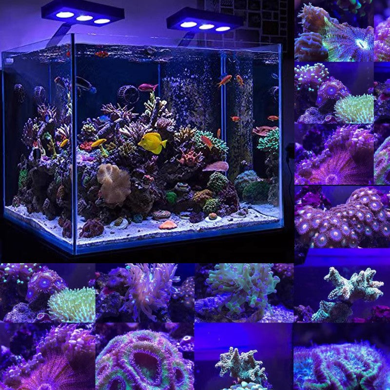 Full spectrum coral LED light for marine reef aquarium