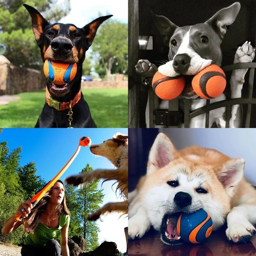Tough chew dog fetch ball suitable for all dog sizes