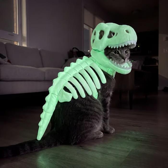 Dog wearing dinosaur skeleton Halloween hoodie costume, front view