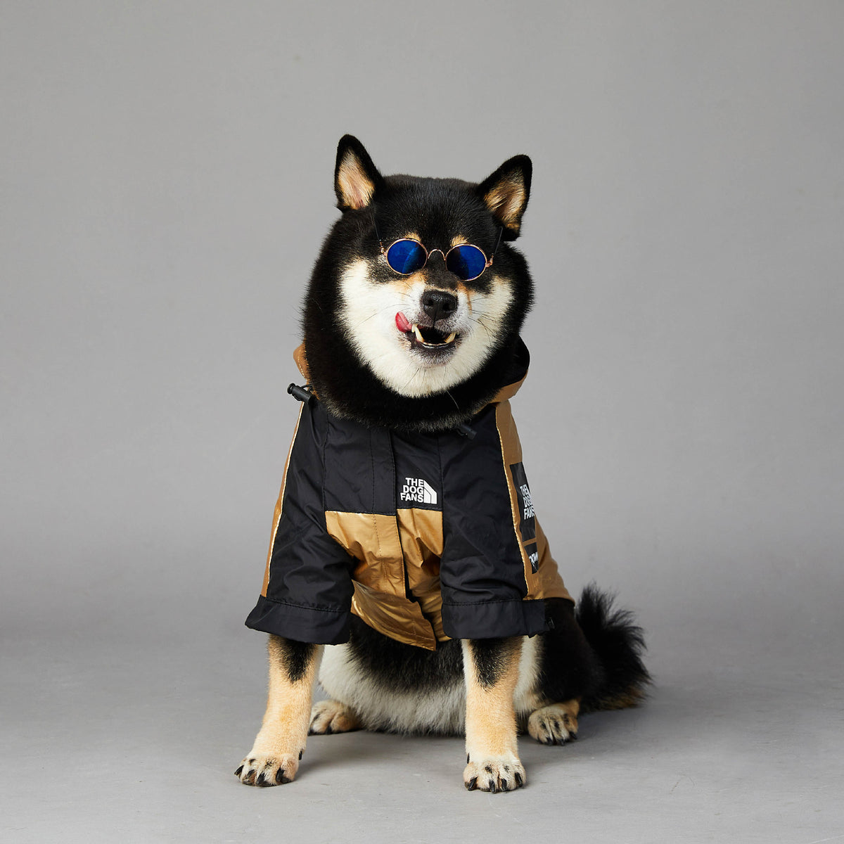 waterproof outdoor pet jacket for large dogs windproof raincoat 