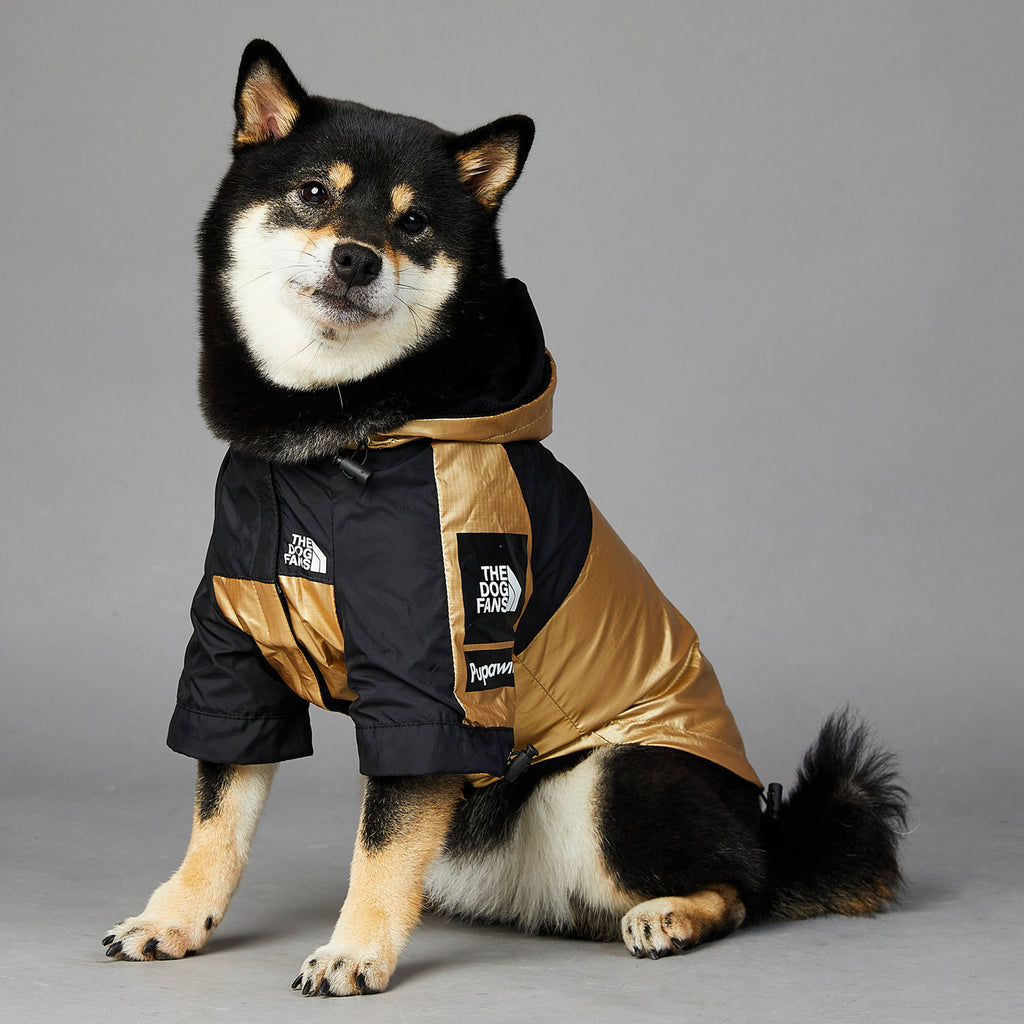 windproof dog coat waterproof raincoat for large dogs outdoor use